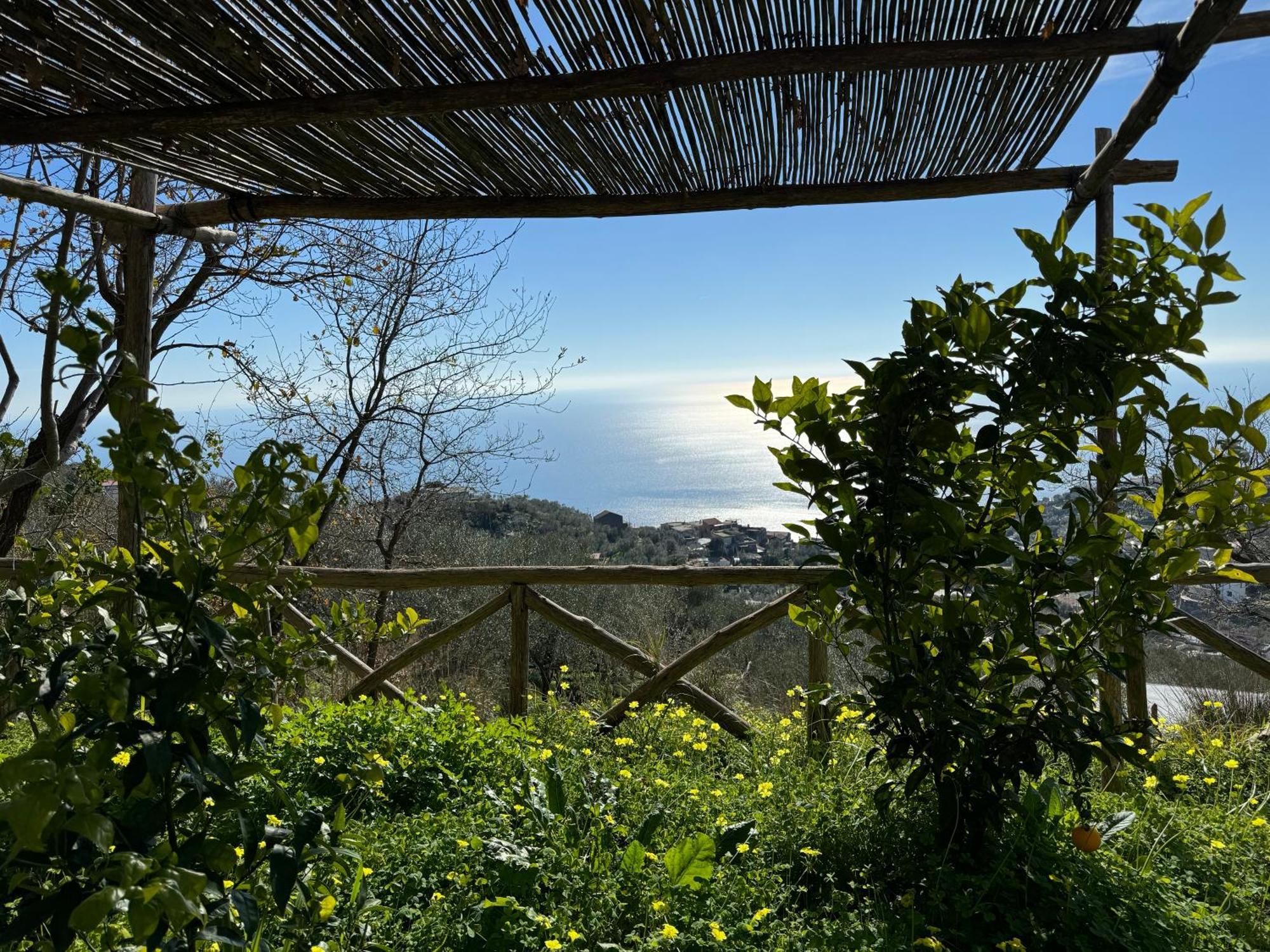 Bed and Breakfast Groove'N'Grove Сант-Агата-суи-Дуэ-Гольфи Экстерьер фото